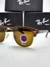 Rayban Sunglasses